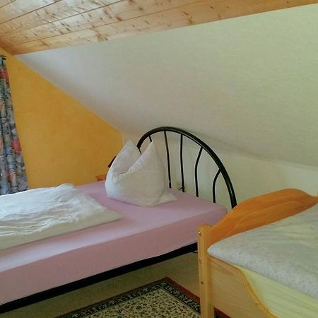 Ferienhaus Riedl Klingenthal Buitenkant foto