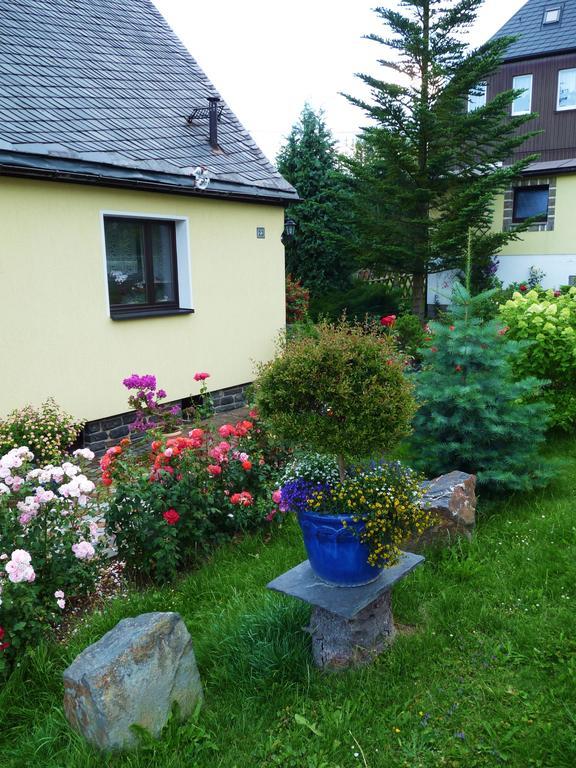 Ferienhaus Riedl Klingenthal Buitenkant foto