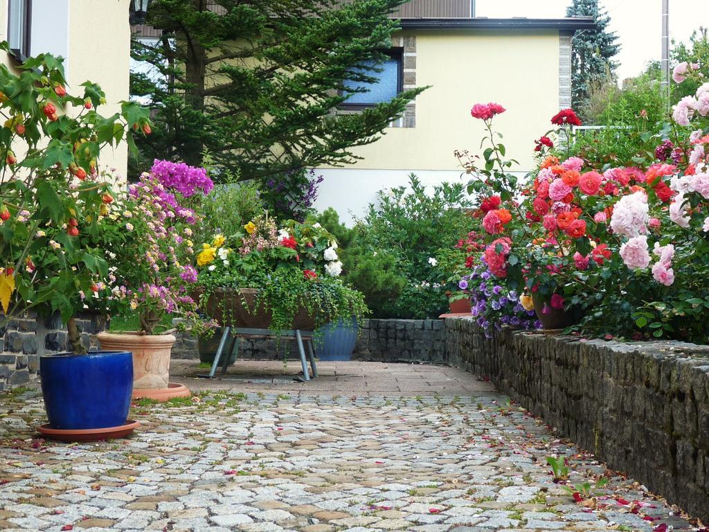 Ferienhaus Riedl Klingenthal Buitenkant foto