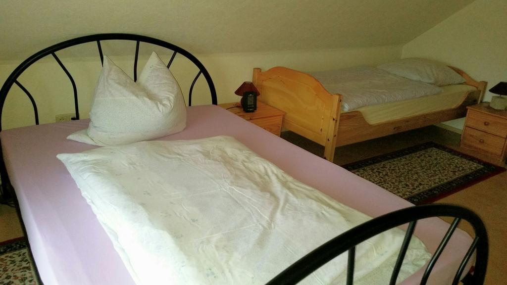 Ferienhaus Riedl Klingenthal Buitenkant foto