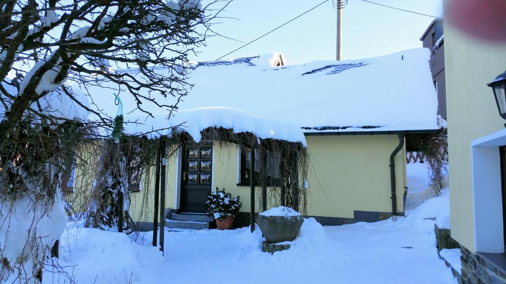Ferienhaus Riedl Klingenthal Buitenkant foto